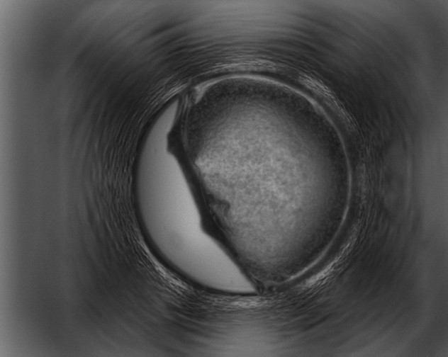 X0000052640841200507160155