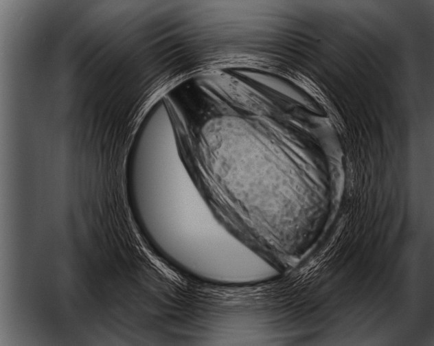 X0000052640842200507160155