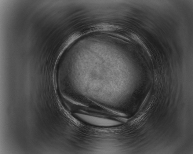 X0000052640843200507160155