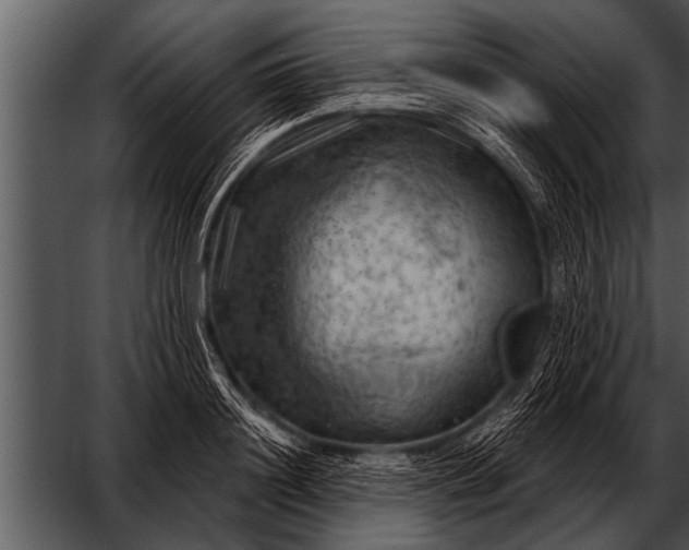 X0000052640844200507160155