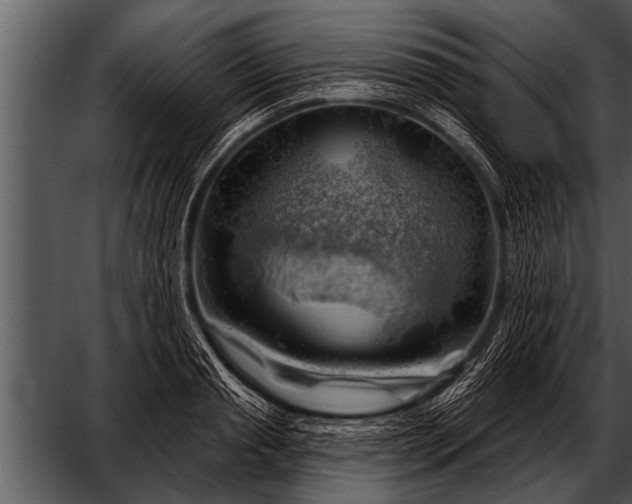 X0000052640845200507160155