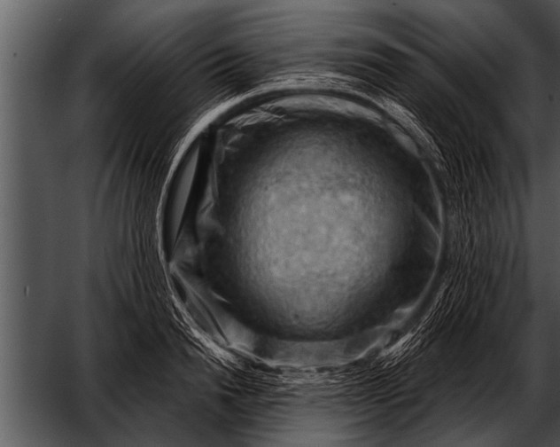 X0000052640846200507160155