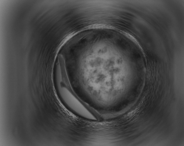 X0000052640847200507160155