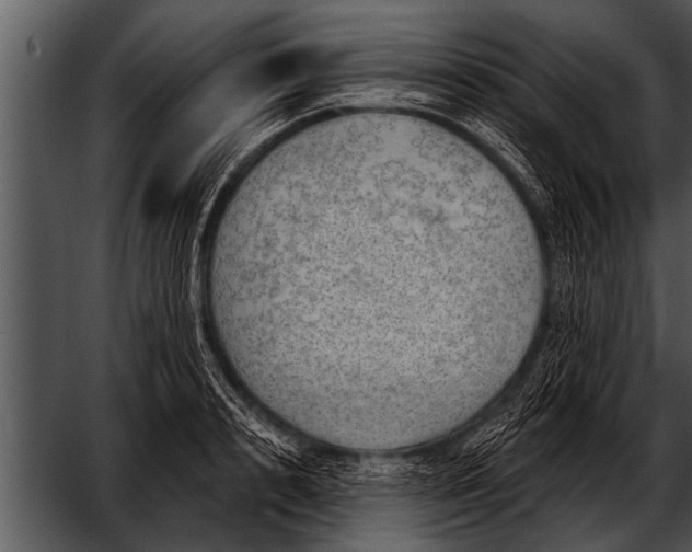 X0000052640848200507160155