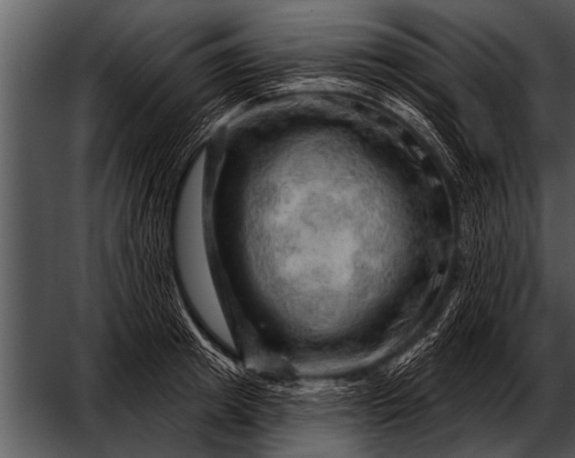 X0000052640849200507160155