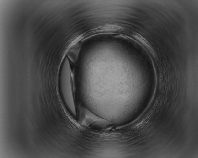 X0000052640850200507160155