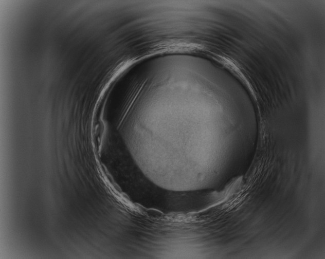 X0000052640851200507160155