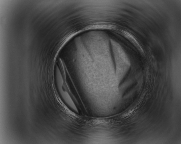 X0000052640852200507160155