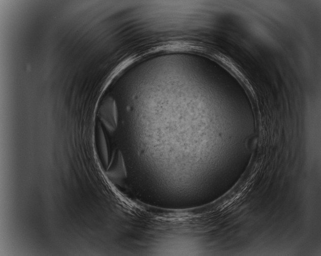 X0000052640853200507160155