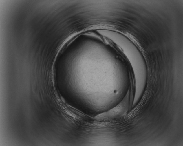 X0000052640854200507160155