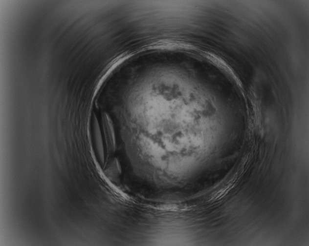 X0000052640855200507160155