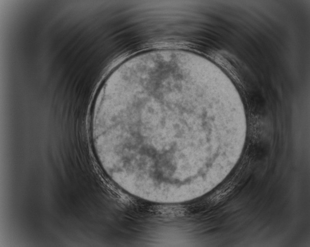 X0000052640856200507160155