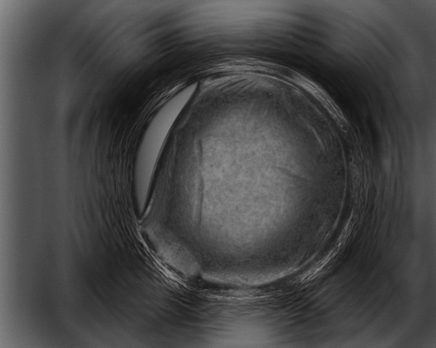 X0000052640857200507160155