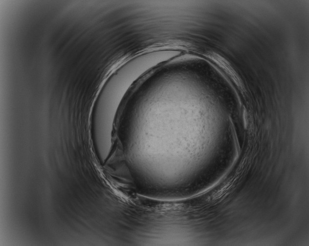 X0000052640858200507160155