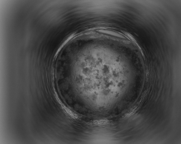 X0000052640859200507160155