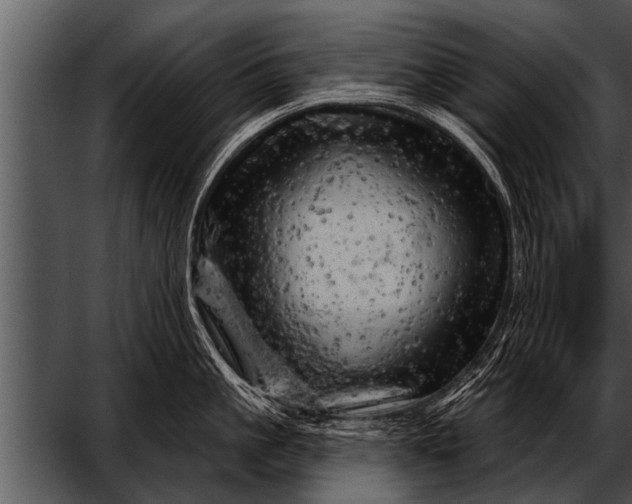 X0000052640861200507160155