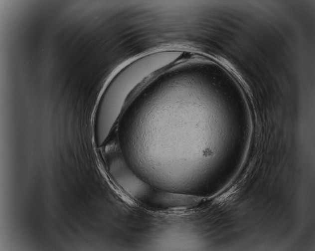 X0000052640862200507160155