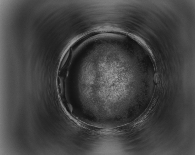 X0000052640863200507160155