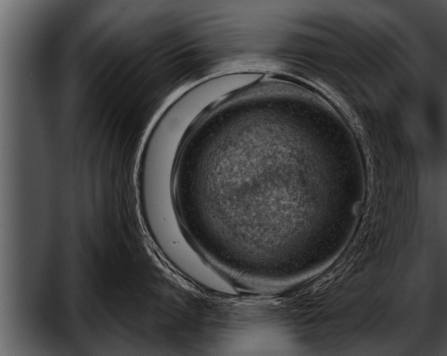 X0000052640864200507160155