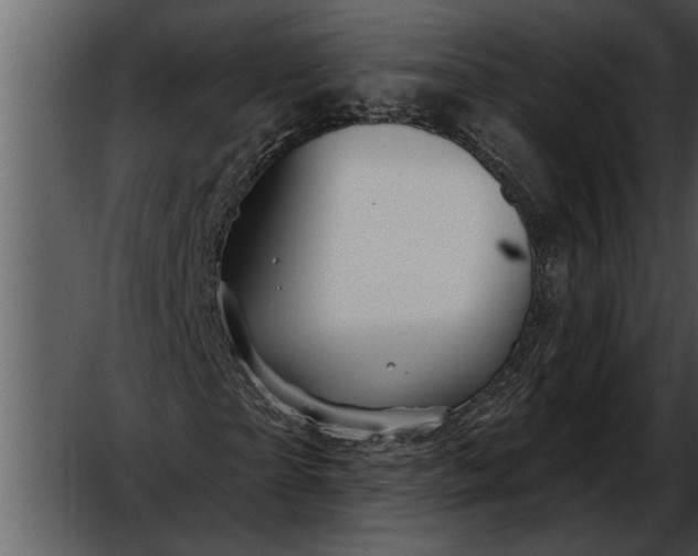 X0000052640865200507160154