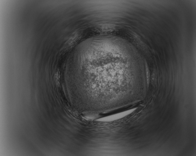 X0000052640866200507160154