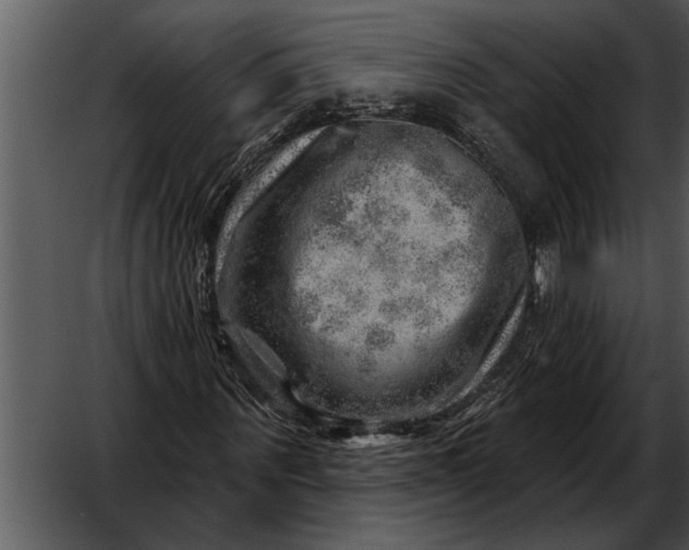 X0000052640867200507160154