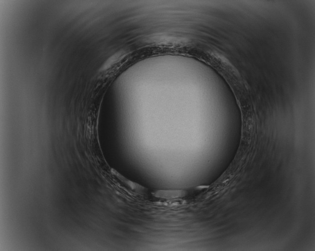 X0000052640869200507160154