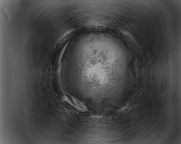 X0000052640870200507160154