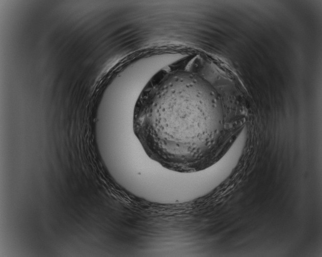 X0000052640871200507160154