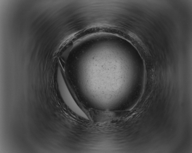 X0000052640872200507160154