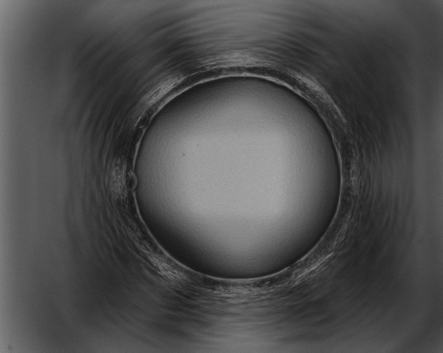 X0000052640873200507160154