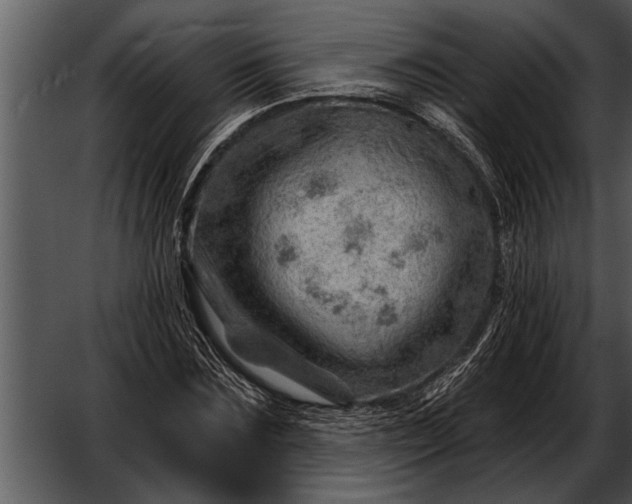 X0000052640875200507160154