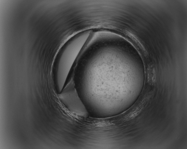 X0000052640876200507160154