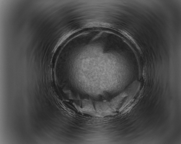 X0000052640877200507160154