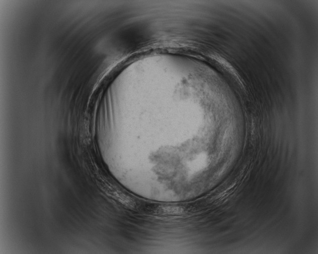 X0000052640878200507160154