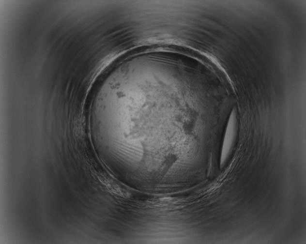 X0000052640879200507160154