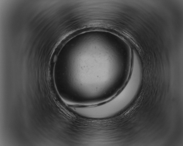 X0000052640880200507160154