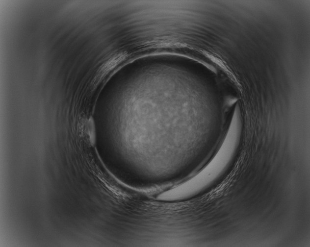 X0000052640881200507160154