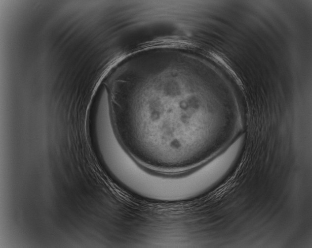 X0000052640883200507160154