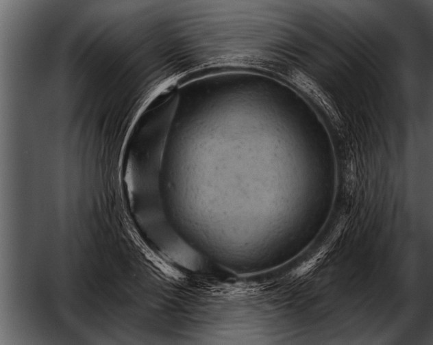 X0000052640884200507160154