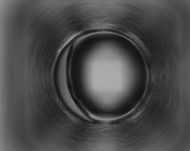 X0000052640885200507160154