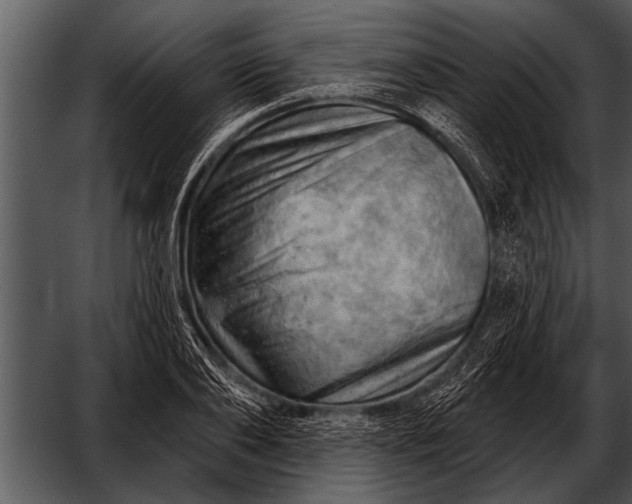 X0000052640886200507160154