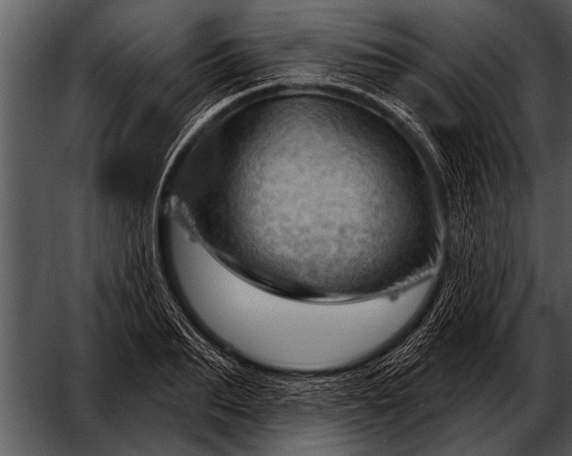 X0000052640887200507160154