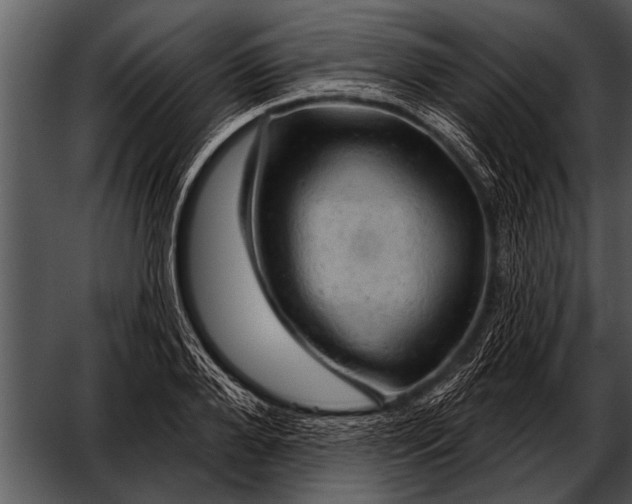 X0000052640888200507160154