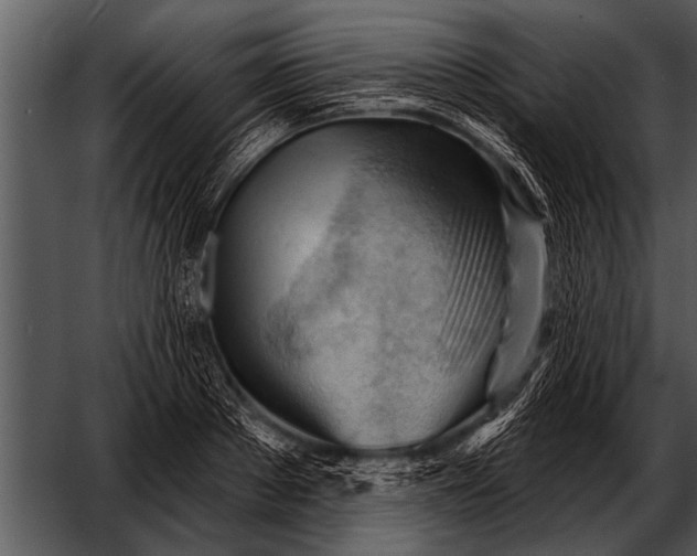 X0000052640889200507160154