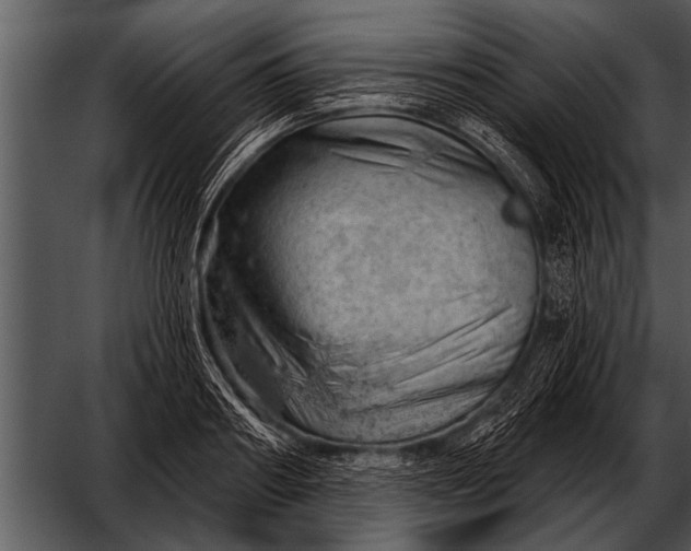 X0000052640890200507160154