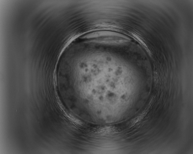 X0000052640891200507160154