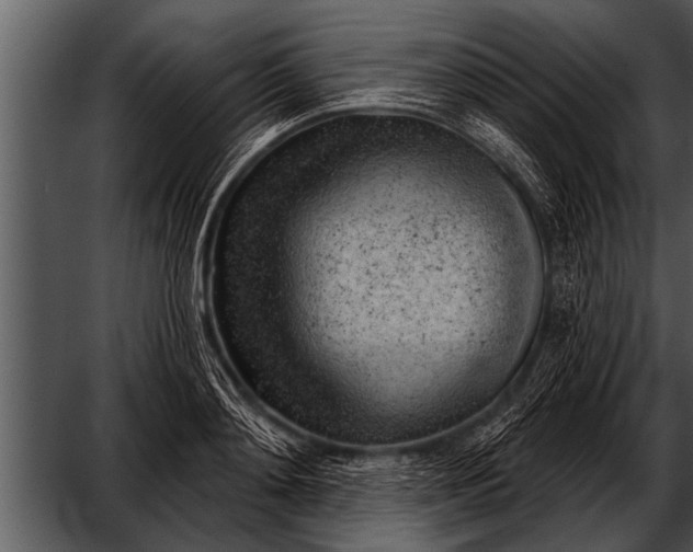 X0000052640892200507160154