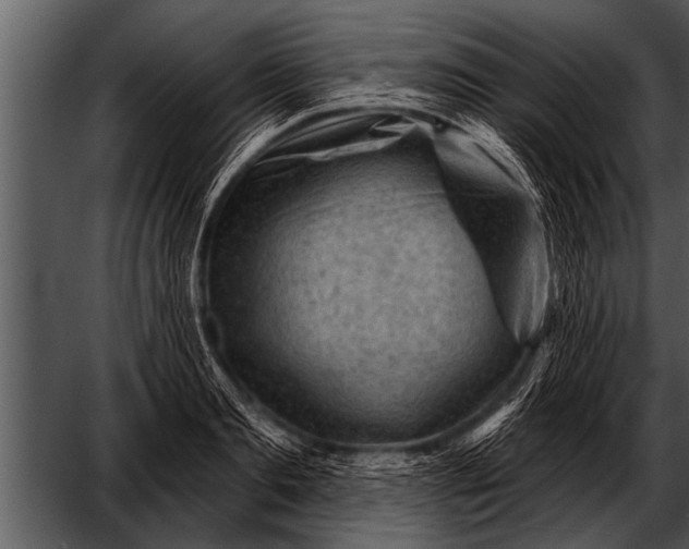 X0000052640893200507160154