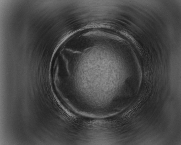 X0000052640894200507160154